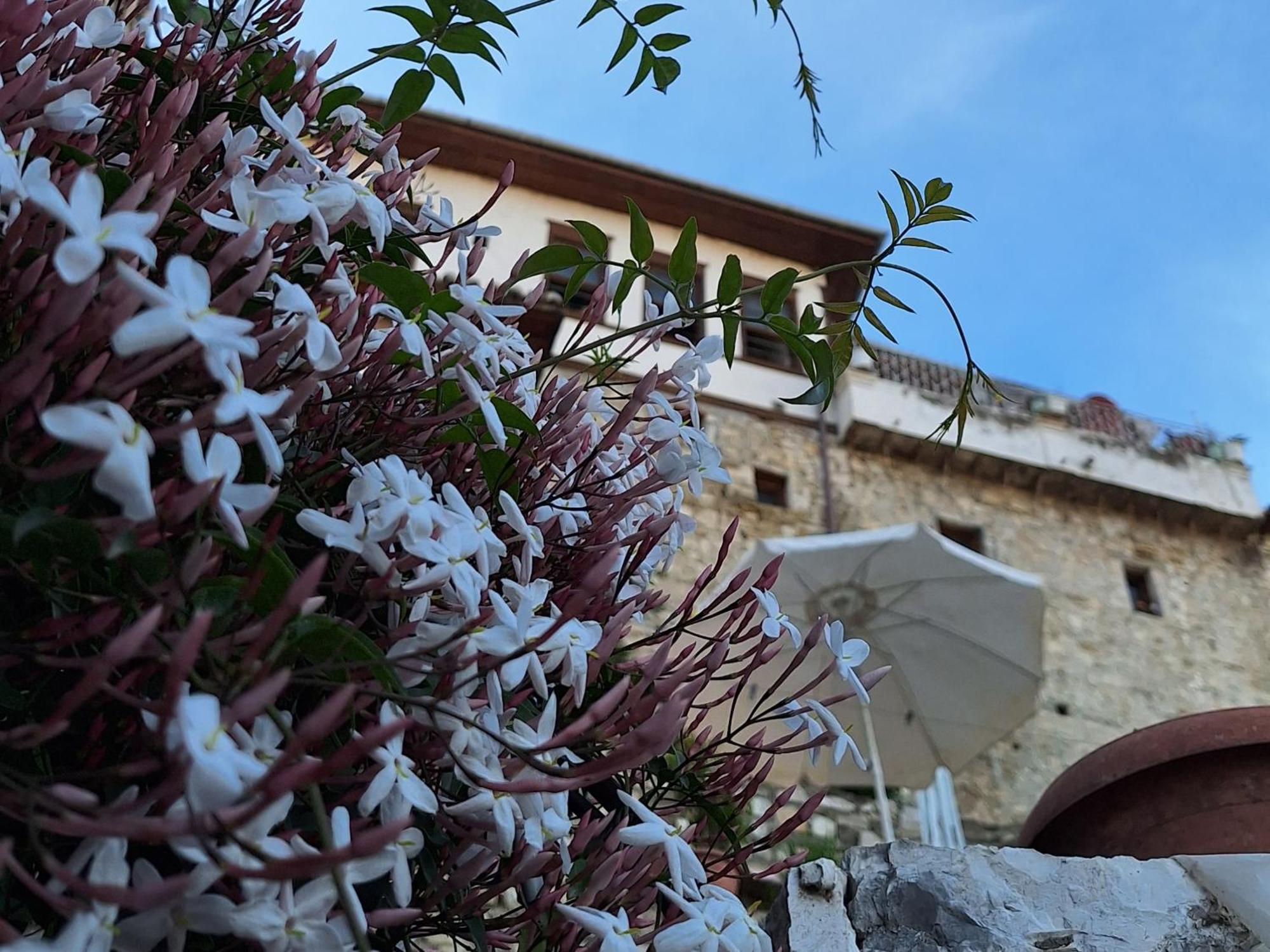 Guesthouse Alvaro Kadiu Berat Exterior foto